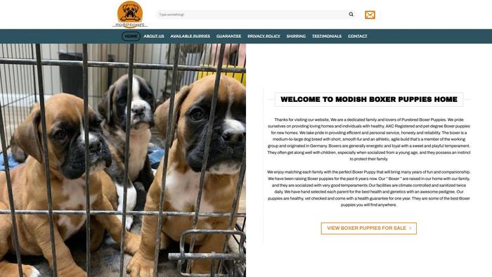 Modishboxerpups.com - Boxer Puppy Scam Review