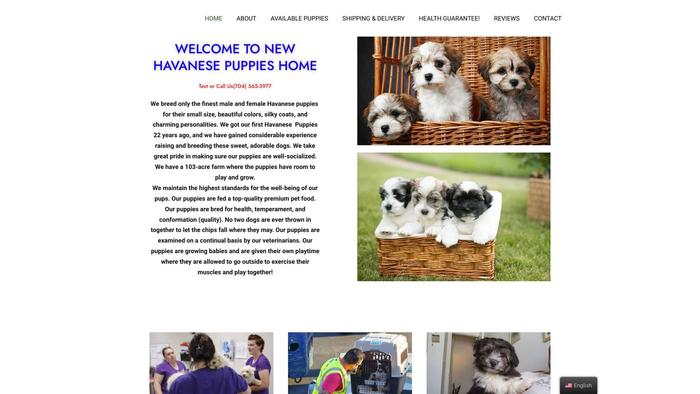 Newhavanesepups.com - Havanese Puppy Scam Review