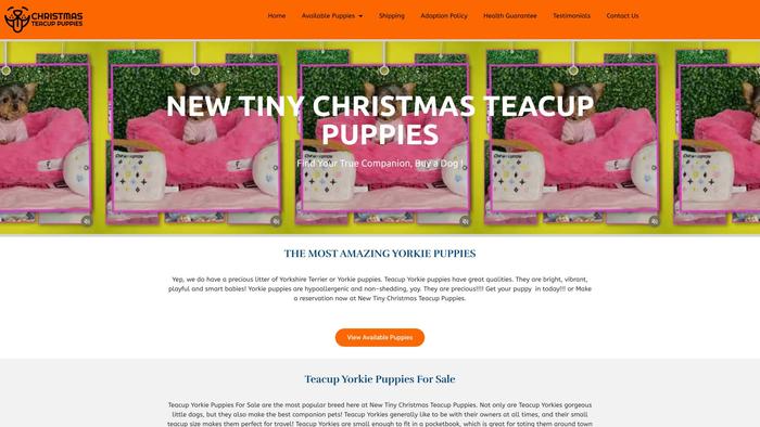 Newtinypachristmassteacuppuppies.com - Yorkshire Terrier Puppy Scam Review