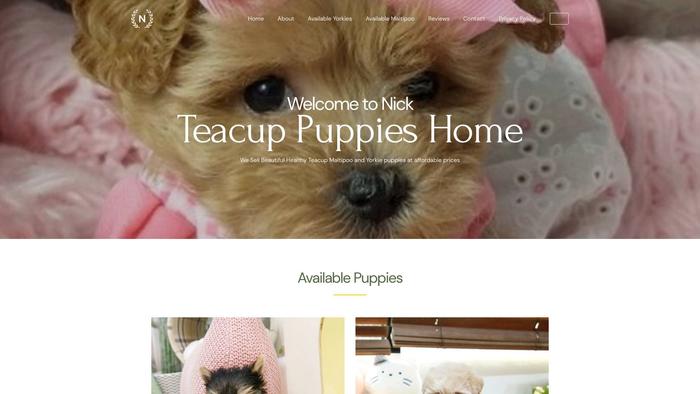 Nickteacuphome.com - Yorkshire Terrier Puppy Scam Review