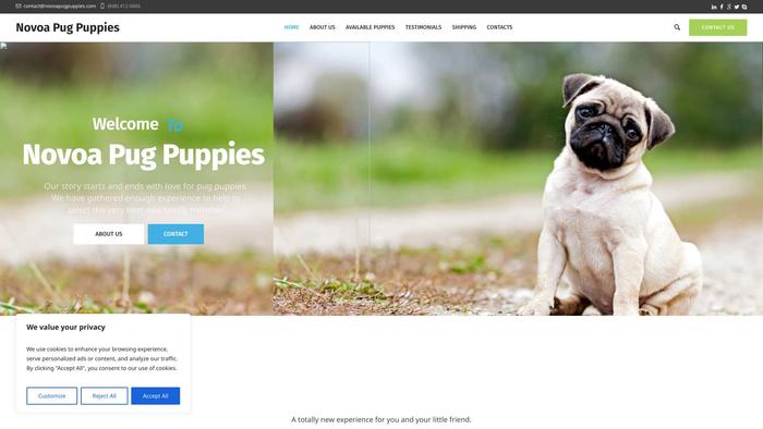 Novoapugpuppies.com - Pug Puppy Scam Review