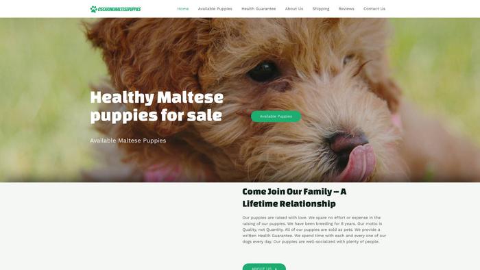 Oscarinemaltesepuppies.com - Maltese Puppy Scam Review