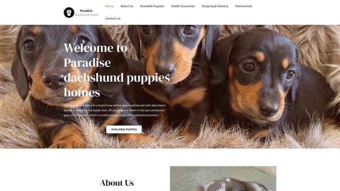 Paradisedachshundhome.com - Dachshund Puppy Scam Review