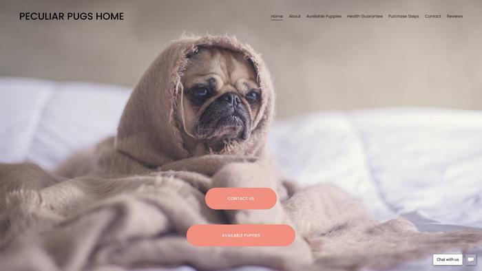 Perculiarpugshome.com - Pug Puppy Scam Review