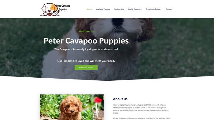 Petercavapoopuppies.com - Cavapoo Puppy Scam Review