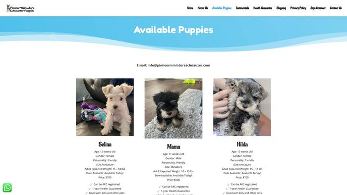 Pioneerminiatureschnauzer.com - Schnauzer Puppy Scam Review