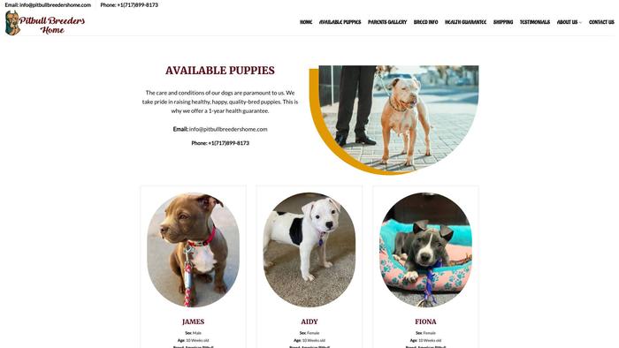 Pitbullbreedershome.com - Pit Bull Puppy Scam Review