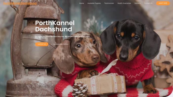 Porthkanneldachshund.com - Dachshund Puppy Scam Review