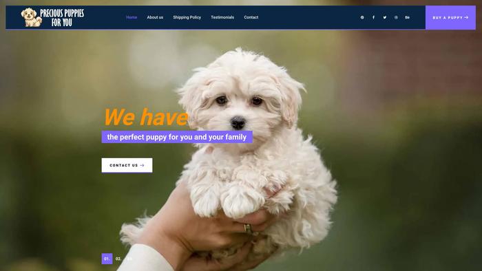 Preciouspuppiesforyou.com - Maltese Puppy Scam Review