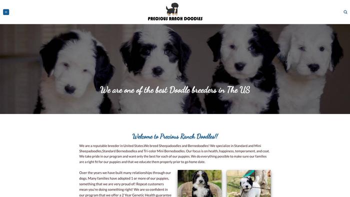 Preciousranchdoodles.com - Labradoodle Puppy Scam Review