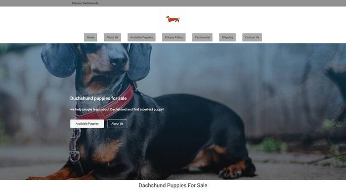 Prelovedachshunds.com - Dachshund Puppy Scam Review