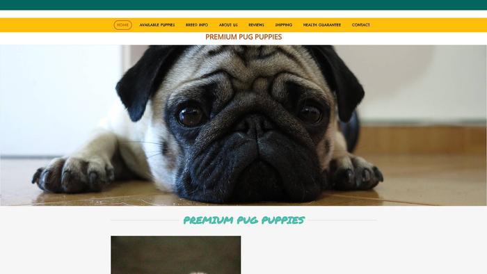 Premiumpugpuppies.com - Pug Puppy Scam Review