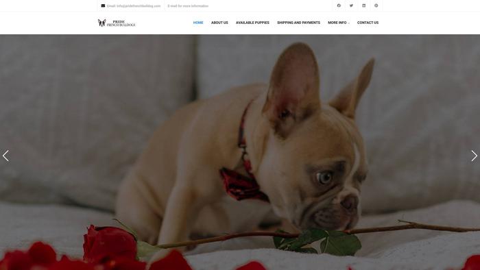 Pridefrenchbulldog.com - French Bulldog Puppy Scam Review