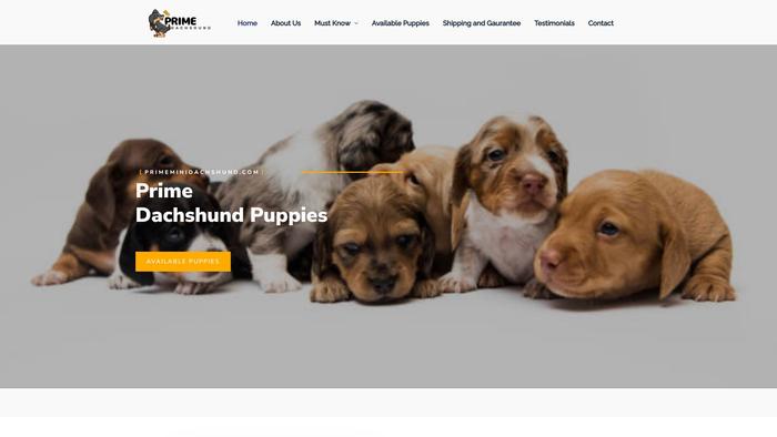 Primeminidachshund.com - Dachshund Puppy Scam Review