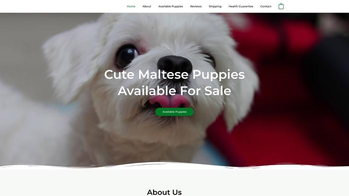 Puremaltesepupshome.com - Maltese Puppy Scam Review