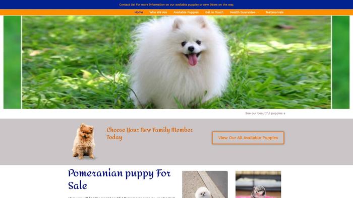 Radixteacuppom.com - Yorkshire Terrier Puppy Scam Review