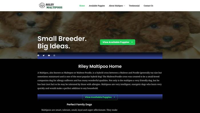 Rileymaltipoos.com - Maltipoo Puppy Scam Review