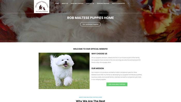 Robmaltesepuppieshome.com - Maltese Puppy Scam Review