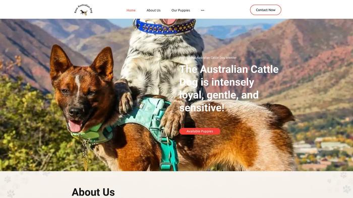 Roseaustraliancattledoghome.store - Australian Shepherd Puppy Scam Review