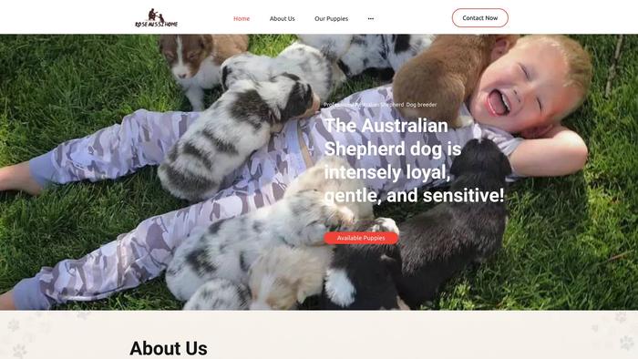 Roseaustralianshepherd.com - Germanshepherd Puppy Scam Review