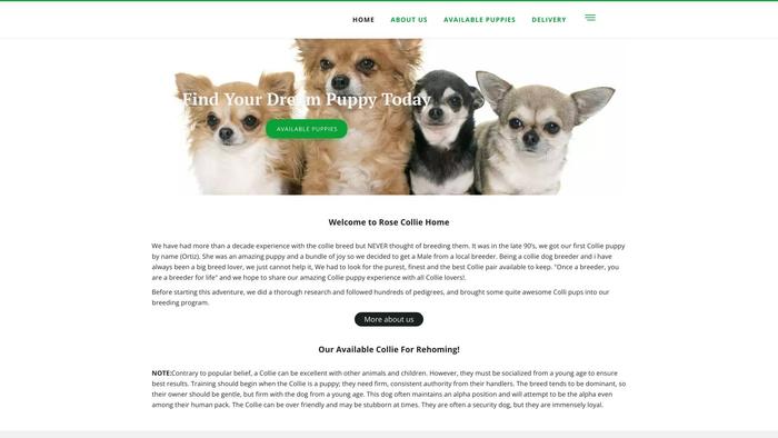 Rosechihuahuahome.store - Chihuahua Puppy Scam Review