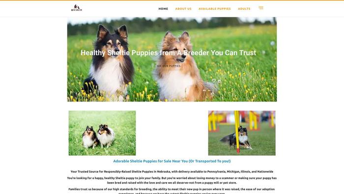 Rosesheltie.store - Sheltie Puppy Scam Review