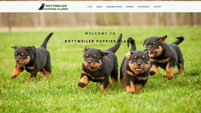 Rottweilerpuppiesplanet.com - Rottweiler Puppy Scam Review