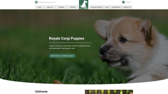 Royalpupshome.com - Corgi Puppy Scam Review