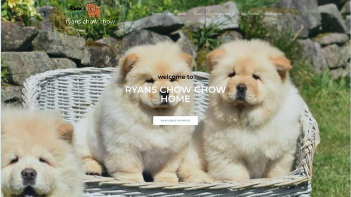 Ryanschowchow.com - Chowchow Puppy Scam Review