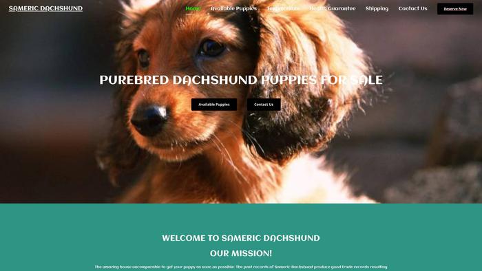 Samericdachshund.com - Dachshund Puppy Scam Review