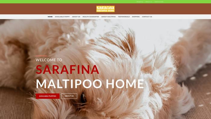 Sarafinamaltipoohome.com - Maltipoo Puppy Scam Review