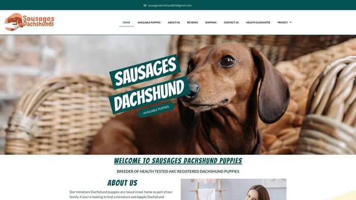 Sausagesdachshunds.com - Dachshund Puppy Scam Review