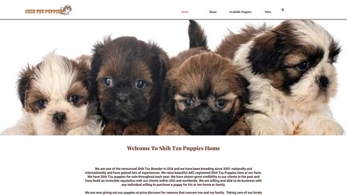 Shih-tzu-puppies.com - Shihtzu Puppy Scam Review