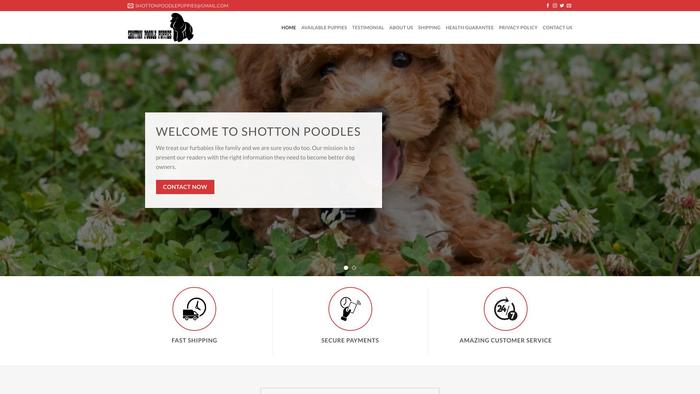 Shottonpoodlepuppies.com - Poodle Puppy Scam Review