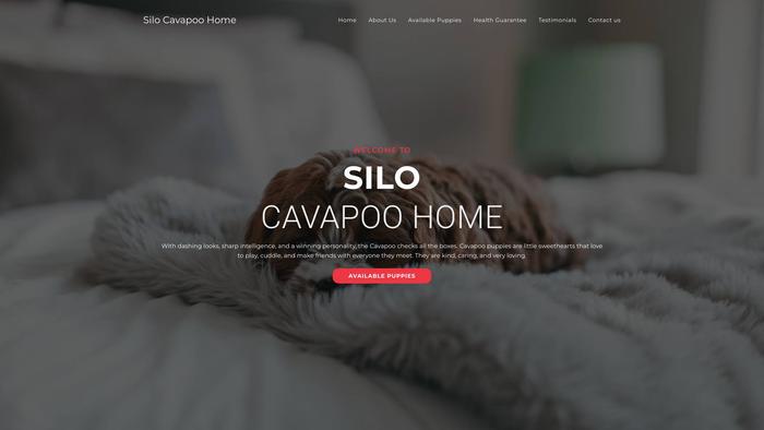 Silocavapoohome.com - Cavapoo Puppy Scam Review