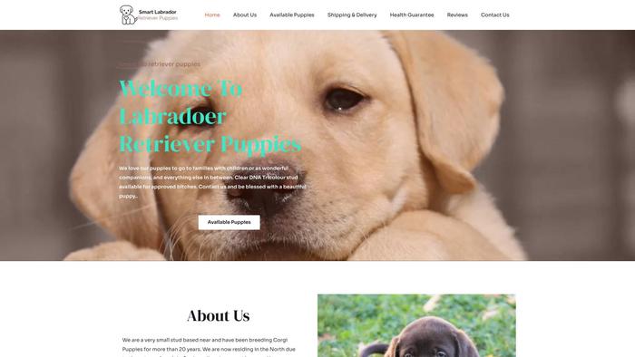 Smartlabretrieverpuppies.com - Golden Retriever Puppy Scam Review