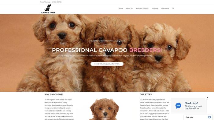 Soniahfarms.com - Cavapoo Puppy Scam Review