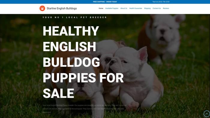 Starlinenglishbulldogs.com - English Bulldog Puppy Scam Review