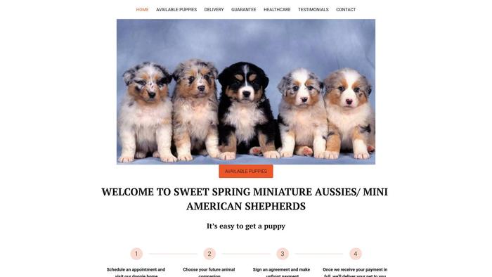 Sweetspringminiaussies.com - Australian Shepherd Puppy Scam Review