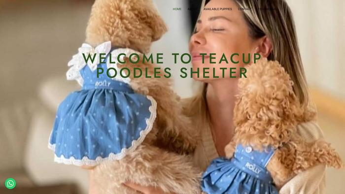 Tcuppoodleshelterhome.net - Poodle Puppy Scam Review