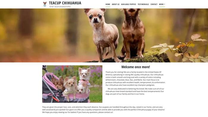 Teacupchihuahuafarm.com - Chihuahua Puppy Scam Review