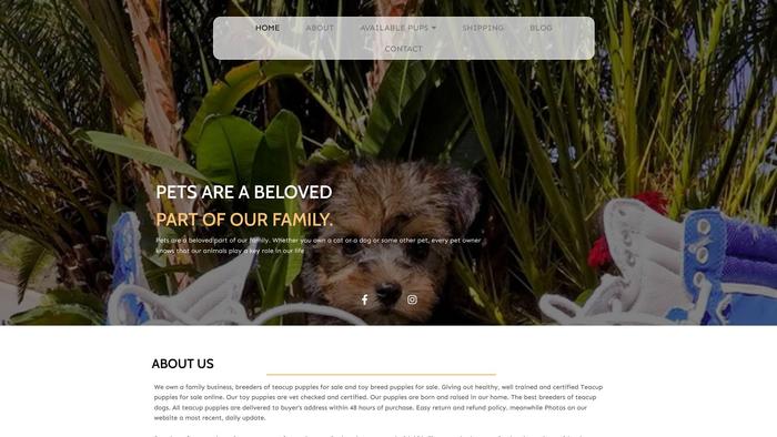 Teacuppuppiesfamily.homes - Yorkshire Terrier Puppy Scam Review