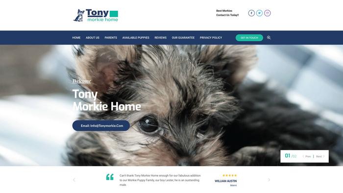 Tonymorkie.com - Yorkshire Terrier Puppy Scam Review