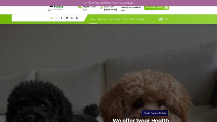 Toypoodle.store - Poodle Puppy Scam Review