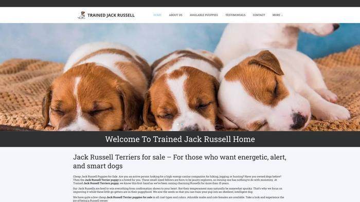 Trainedjackrusselhome.com - Japanese Spitz Puppy Scam Review