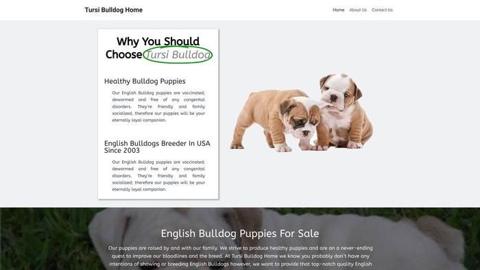 Tursibulldoghome.store - Bulldog Puppy Scam Review