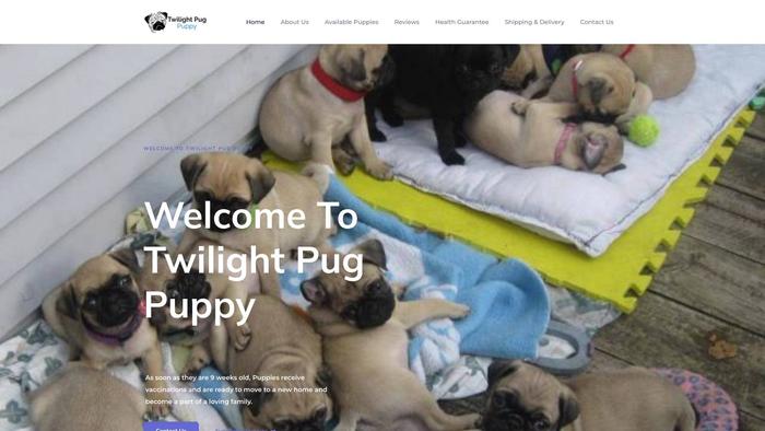 Twilightpugpuppy.com - Pug Puppy Scam Review