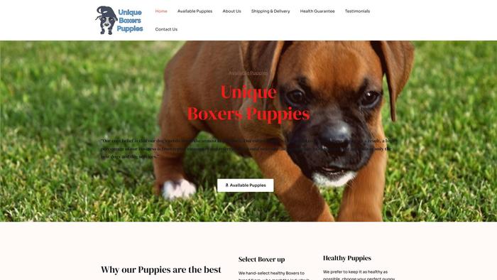 Uniquelybredboxers.com - Boxer Puppy Scam Review