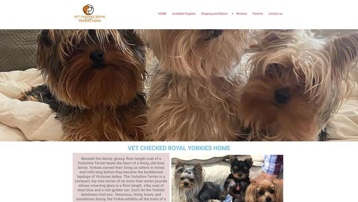 Vetcheckedroyalyorkiehome.com - Yorkshire Terrier Puppy Scam Review