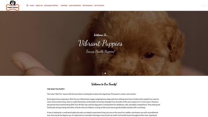 Vibrantpuppies.com - French Bulldog Puppy Scam Review